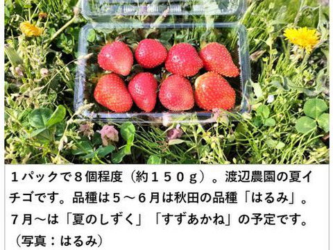 【配送エリア限定、日時指定必須】完熟イチゴの野菜セット（4種類以上）