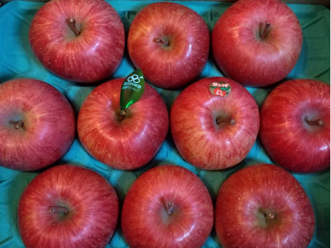 個性派りんご🍎葉隠れサンふじ  冬ギフトにもどうぞ（9個～12個）3キロ箱使用