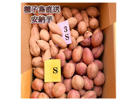 【絶品】aimo農園｜種子島産 安納芋 3S&S 混合18kg(箱別)