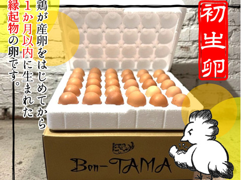 🌸新年度のお祝いに🌸栄養豊富な縁起物『Bon-TAMA』初生卵（30個入り） 【1か月限定】