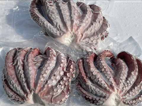 岩手県田野畑産　蒸し真タコ 約1kg