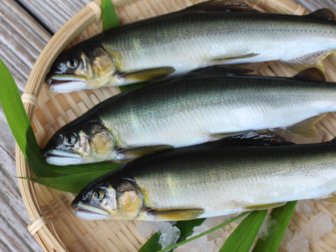 【味に自信あり】湯布院の名水で育てた　鮎の甘露煮 2個セット
