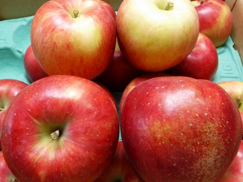 ★葉とらずシナノスイート★５ｋｇ★大玉中玉★訳あり★