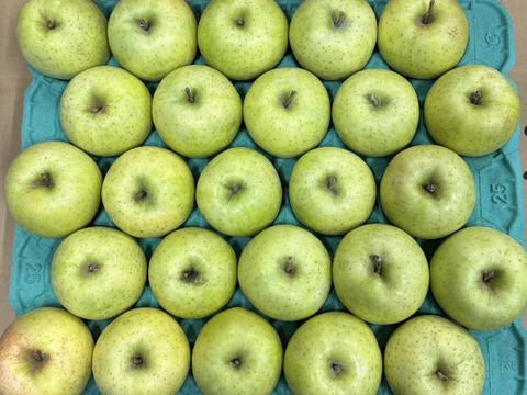 【小玉】「人気急上昇!! 」王林🍏家庭用約4.5Kg🍏青森県産　数量限定