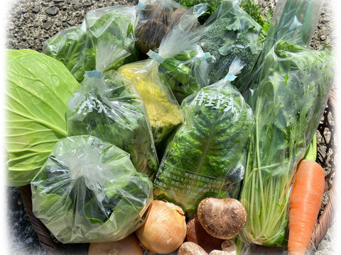 【数量限定☆山セット🎁】香りいっぱい！お得いっぱい！旬の春野菜詰め合わせ箱☆🥗🥕🥦＋山椒の葉付き🌿