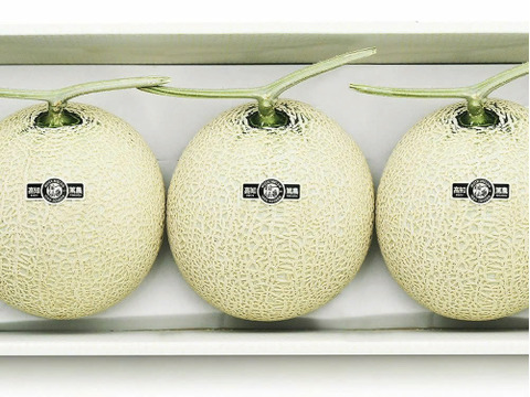 「外まで甘い」3玉高糖度マスクメロン