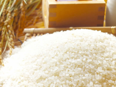 自然栽培米　生酛純米酒『穂の穂』720㎖