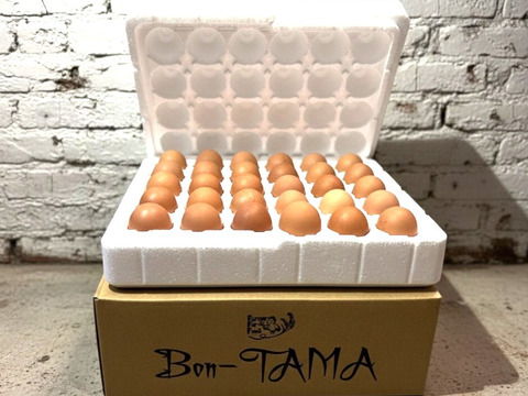 【大寒卵】無病息災・金運上昇の縁起物・平飼い養鶏卵『Bon-TAMA』M~Lサイズ（30個入り）