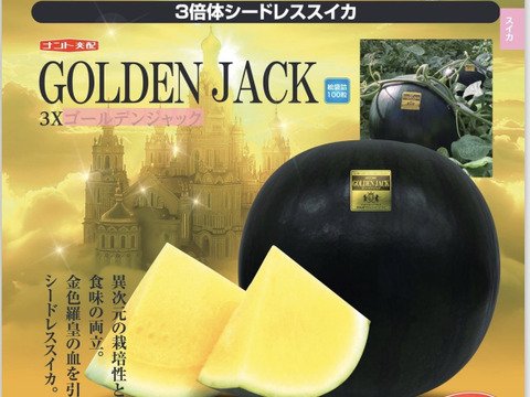【雅】糖度13-14以上【ゴールデンジャック】『大里果樹園のスイカ』2Ｌ-3Ｌ