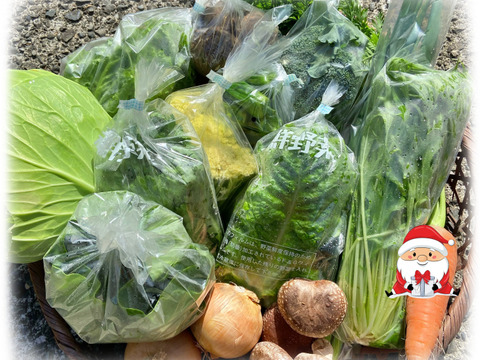 【🎄Xmas限定☆彡2～3人様セット🎁】たくさんの種類！ちょうどいい量！お料理好きの野菜詰め合せ🥗