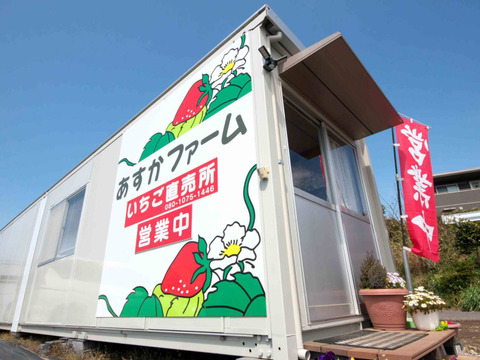 【2年連続品種入賞やよいひめ】こだわりの栽培で味が濃すぎるいちご  約280ｇ4パック【12月発送先行予約】【冬ギフト】【お歳暮、お年賀、お正月、大晦日】