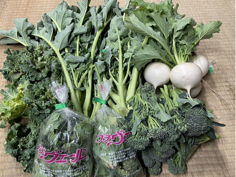 旬の野菜セット（夏野菜）：東京都産の野菜セット｜食べチョク