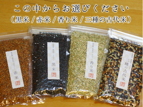 〈メール便〉古代米よりどり4個+炒り玄米粉1袋