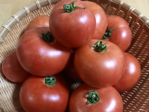 セレブスイートトマト　400g