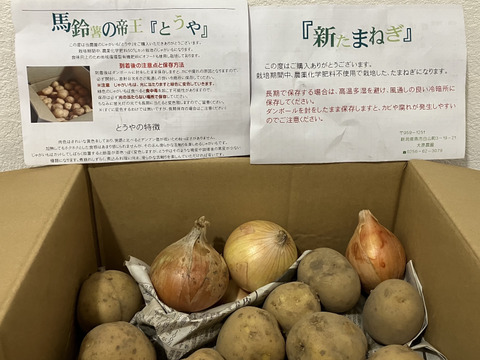 【期間限定】農薬化学肥料5割減！じゃがいもの帝王！『とうや』（2kg）L〜Mサイズ