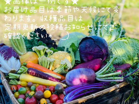【クール仕様】カラダ喜ぶ
『Ⅿサイズ★春のカラフル野菜セット8品目』
