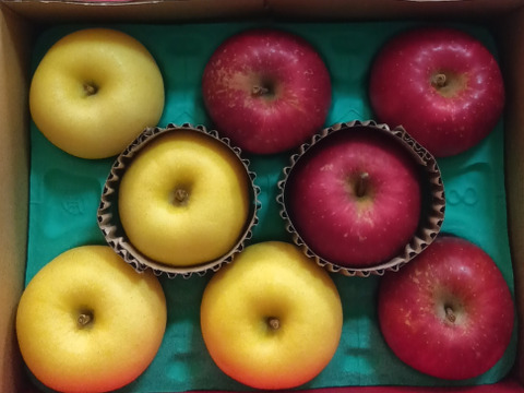 【サンふじ・はるか HALF&HALF】（2kg・6～9個入り）パリパリ・ジューシーお得な家庭用