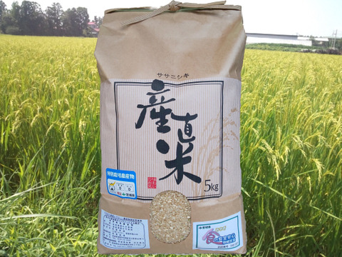 R4【ＥＭ自然農法米】宮城のササニシキ　玄米５kg