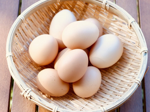 【大寒卵】★平飼いで育てた有精卵12個入り★
小振りながらも濃厚な土佐ジロー卵 　仁淀ブルーの町いの町からお届け