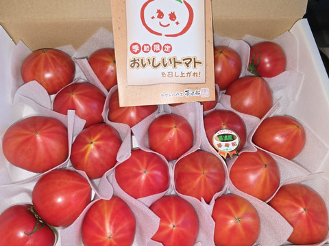 【今が旬】トマトハウス夢風船の高濃度フルーツトマト『おいしいトマト』（サイズおまかせ約２ｋｇ）