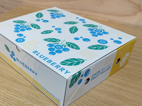 【最新品種】大粒ブルーベリー　びっくりのおいしさ♪