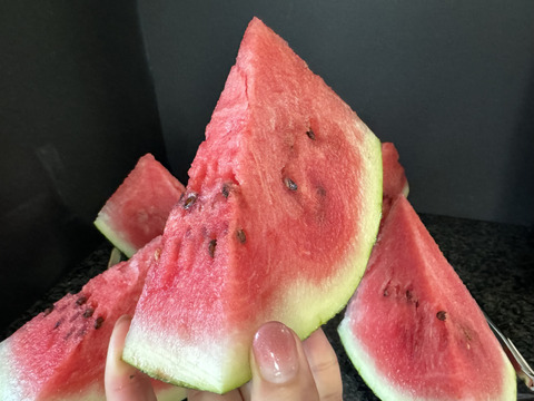 糖度13度【ピノ・ダディ】スイカ
