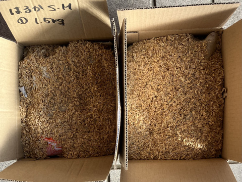 ねっとり系代表❣️千葉県香取市産　S・M
さつまいも極甘！ 【紅はるか】1.5kg