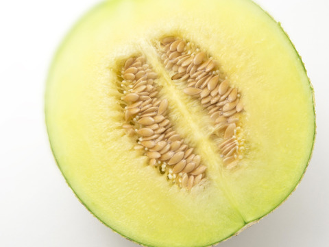 3/20～発送【先着20名様限定】贈答用1玉スプーン付 蓋刻印【おめでとうございます】or【ありがとうございます】選択可