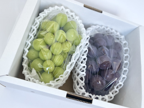 【敬老の日ギフト】ピオーネ＆シャインマスカット　(1房 600g以上)