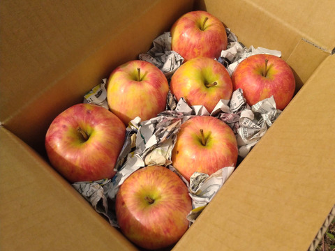 【農薬85％減!!※】パリッとジューシーで甘い！「シナノドルチェ」(2kg箱)