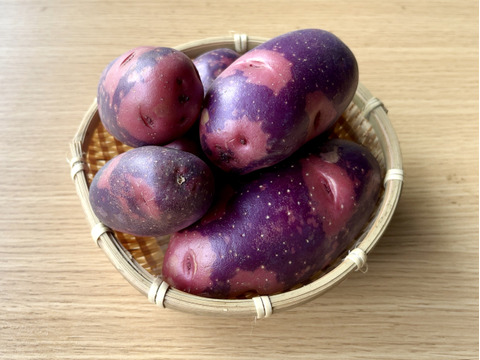 【洗い済】ねっとり食感の派手なじゃがいも「グラウンドペチカ（デストロイヤー）」 ２キロ箱