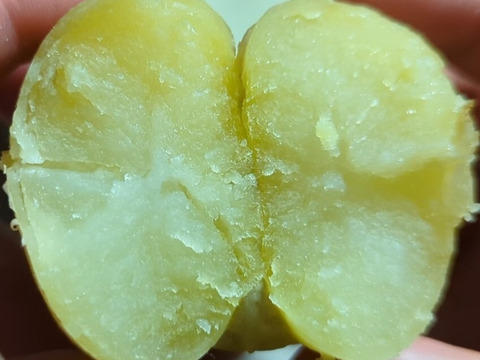 農薬化学肥料不使用！しっとり＆ホクホク！じゃがいも『メークイン』4kg（サイズ無選別）