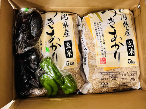 みきさま専用　米　つきあかり　10kg 精米 米 10kg 令和6年 新潟産 つきあかり 白米 5kg×2袋 プレゼント