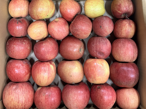 ★残りわずか★葉とらずサンふじ🍎訳ありバラ詰め 約５Kg　青森県産