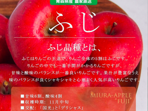 定番の味　THEりんご　家庭用サンふじ（３kg 8個〜10個）
