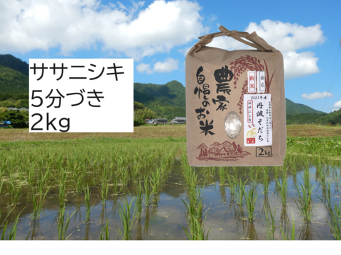 【2024年産】自然栽培のお米『ササニシキ』5分づき2kg