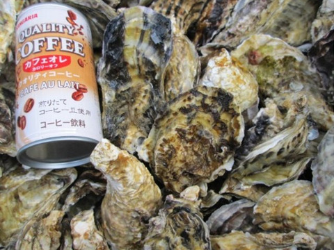 ＳＳサイズ５ｋｇ 約50個 使い勝手が良い冷凍品★冷凍便 宮城県産 殻付き牡蠣 殻付き 殻付 カキ 加熱調理用  松島牡蠣屋 牡蛎 kaki かき カキ 冷凍牡蠣 貝 貝類