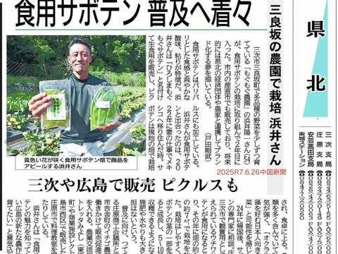 日本初⁉　とろみたっぷり！「もぐもぐサボテンのピクルス（きざみ）」115ｇ