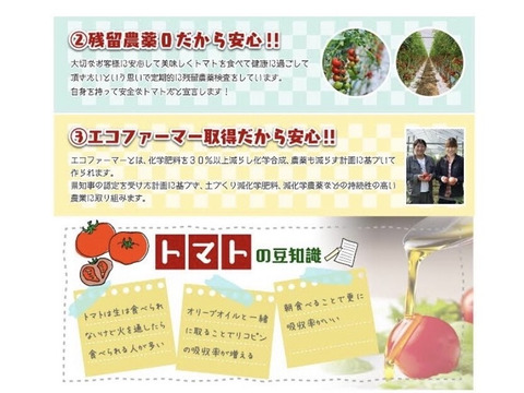【特別栽培農産物の取得】ソムリエミニトマト　プラチナ　１.５kg（７５玉～９０玉）