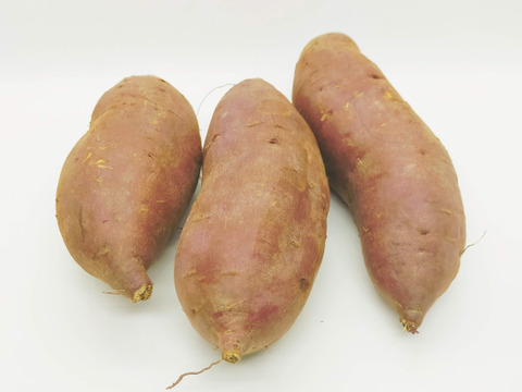 ベイまこさん専用セット