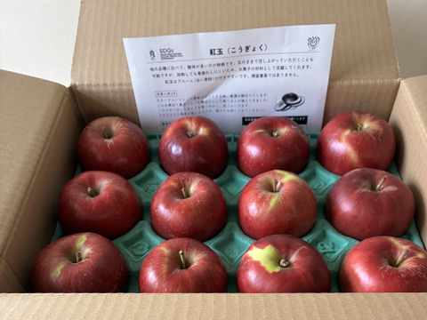 ラスト３ケース加工用終わります🍎紅玉 3キロ箱【有名パティシエ鎧塚さんが紅玉でタルトタタンのレシピ&動画公開！！】 加工もおすすめ6玉〜15玉サイズ 商品ID42918 長野県 信州 安曇野 リンゴ