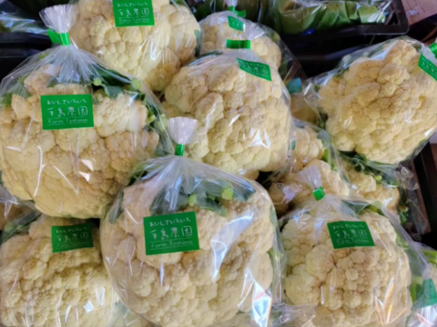 【旬の上州野菜】Sサイズ（5~6品目）梱包まで丁寧に