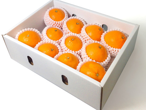 【予約】せとか〈秀品〉約9kg　※発送は2月中旬頃開始予定