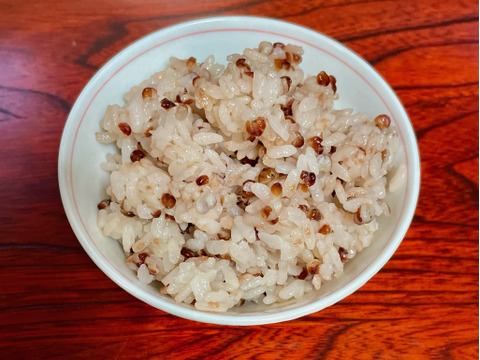 令和6年度収穫 添加物･農薬不使用 グルテンフリー アレルゲンフリー たかきび 雑穀  肉の代用  信州産ソルガム 800g×2袋 2024年産