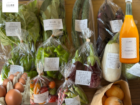 超お得！農薬不使用旬野菜8品・平飼い卵10個・ぴゅあみかんジュース
