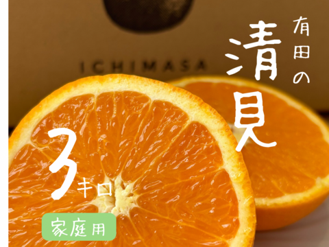【清見】3キロ　家庭用