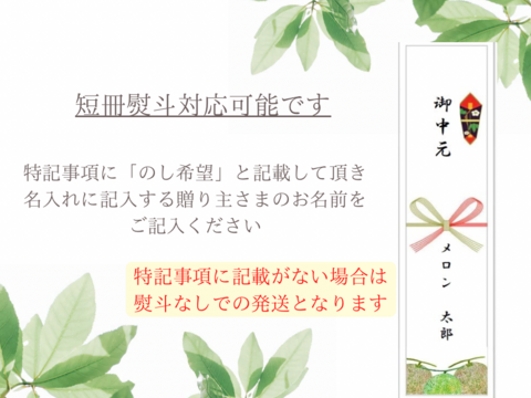 【夏ギフト】特選マスクメロン1玉(1.5kg以上)リボン付き