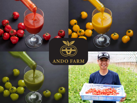 『希少』チェリートマト使用　飲み比べチェリートマトジュース180ml×5本入