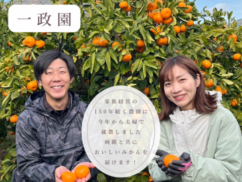 不知火　5キロ18個　家庭用