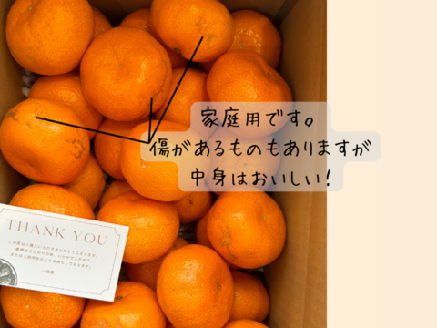 【セット】完熟中生みかん　箱込み5キロ2Lサイズ　２箱　家庭用